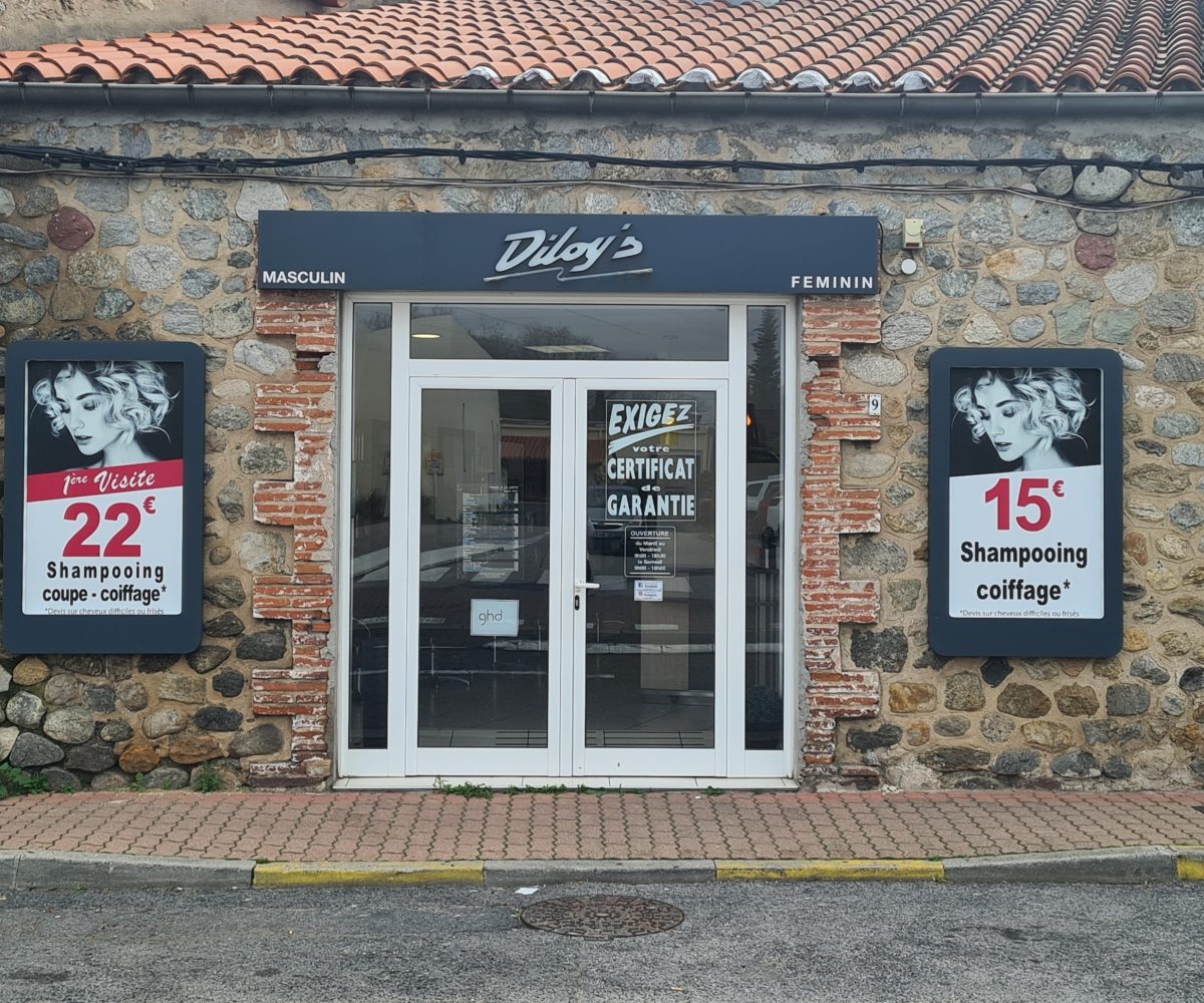 Salon_Diloys_LeBoulou-2