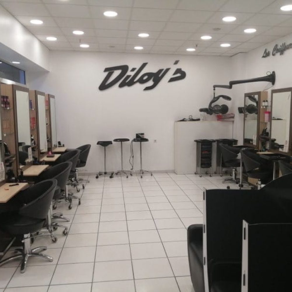 diloys_BoutduPontdelArn-1