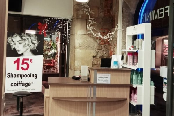 Diloys_Castres_Villegoudou_3